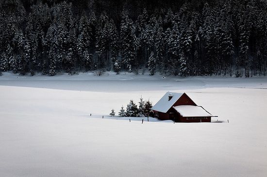 photographies de paysages d'hiver 151