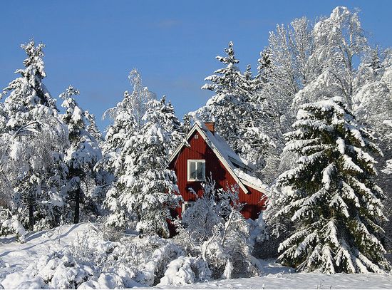 photographies de paysages d'hiver 201