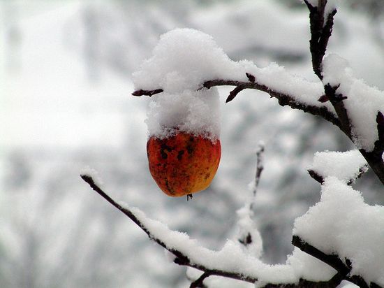 photographies de paysages d'hiver 371