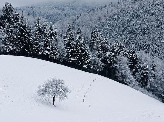photographies de paysages d'hiver 511