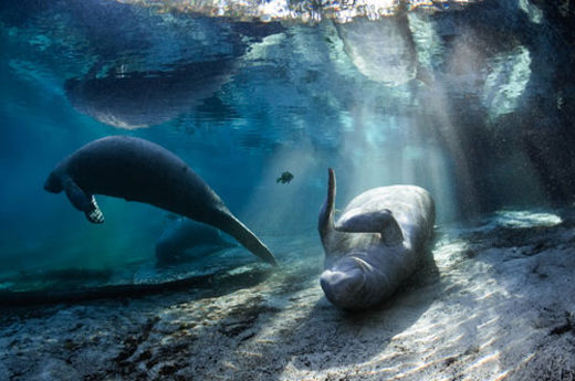 Superbe-Photographie-14
